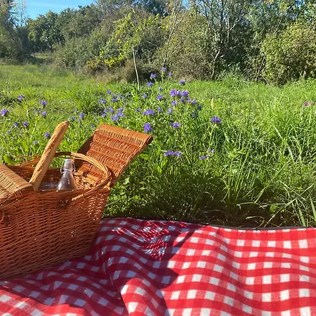 Luxury tent Le Fleur Sauvage *