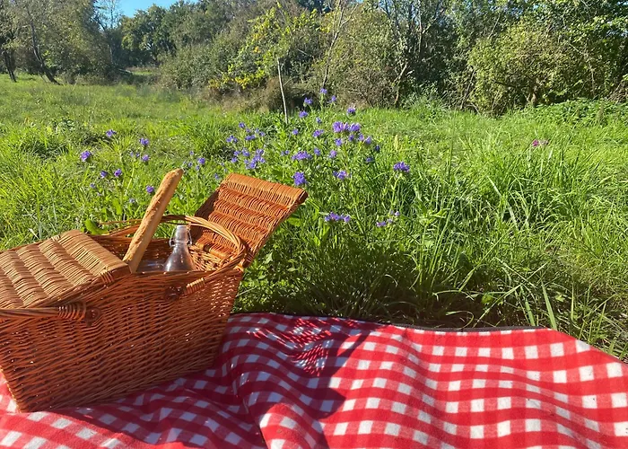 Campismo de Luxo Le Fleur Sauvage *